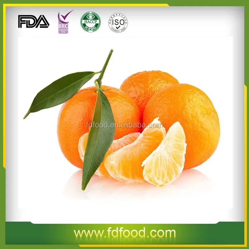 fruit fresh ingredients freeze dried Orange importers