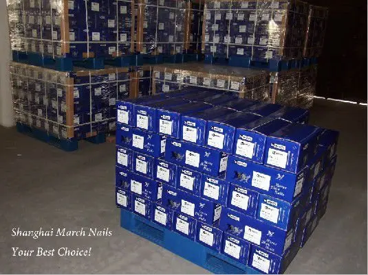Global global horse grooming equipment Horse products Factory