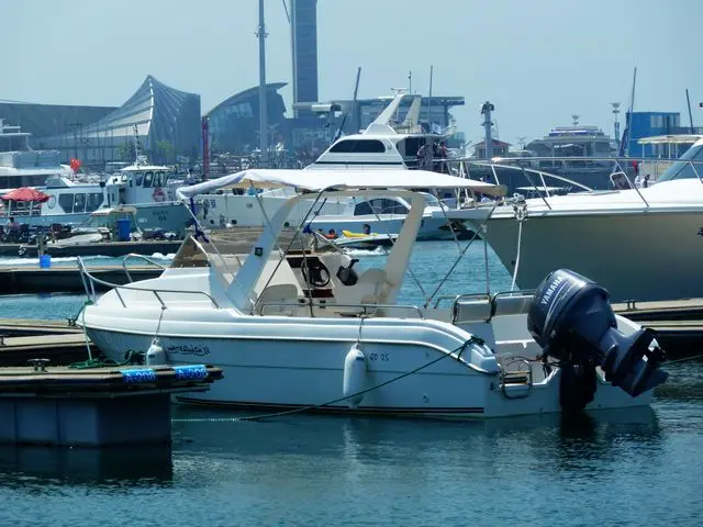 Лодка WATERWISH QD25, подвесная спортивная яхта для рекламы