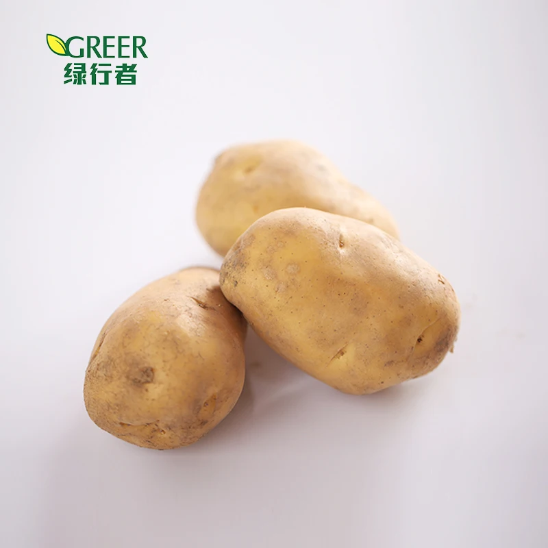 quality Chinese fresh potato vegetables