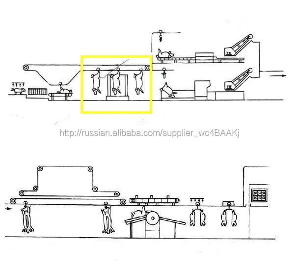 Автоматическая машина для мыть свинья туши