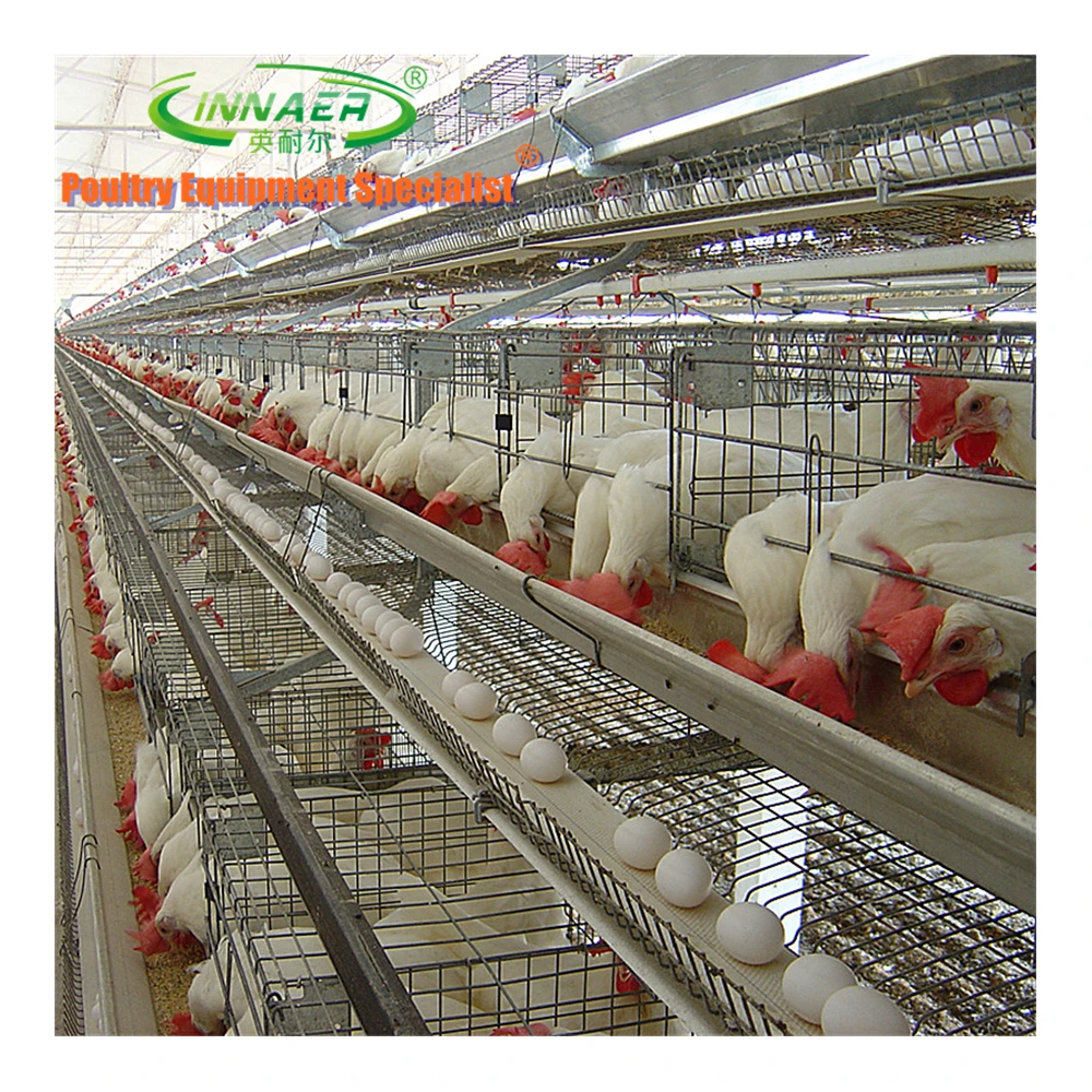 96-200 птицы 3-5-ярусные клетки для птиц