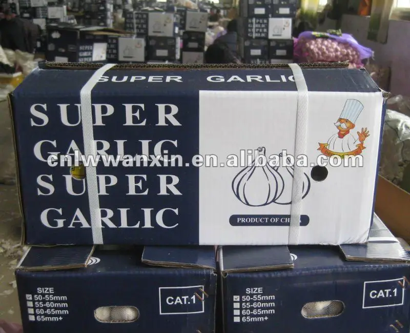 
10kg loose carton packing normal white garlic 