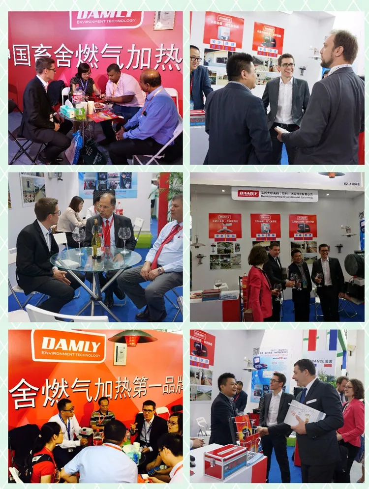 DAMLY Wholesale Factory Price High Efficient Poultry Farm Infrared LPG Gas Brooder Heater