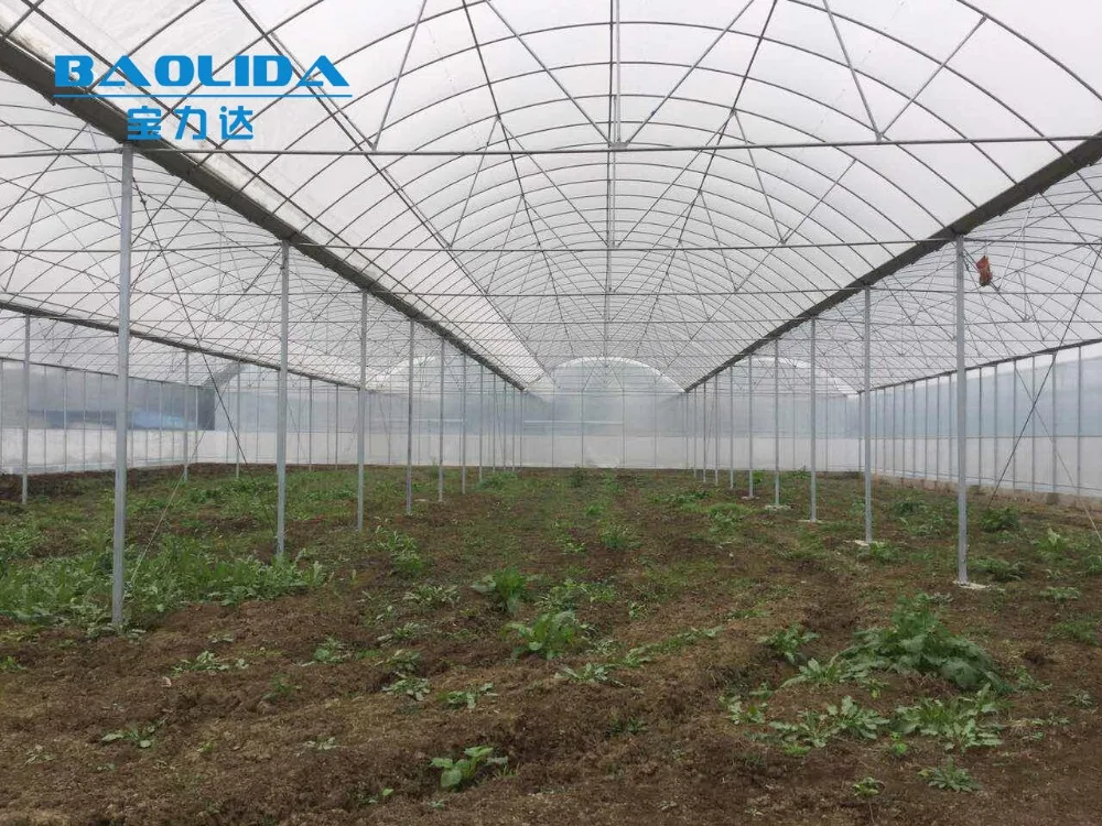 Polytunnel Garden High Quality Plastic  Greenhouse For Agriculture