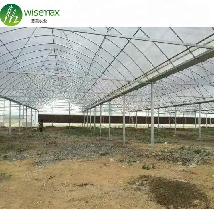 Multi span plastic film agricultural greenhouses/vegetable greenhouses