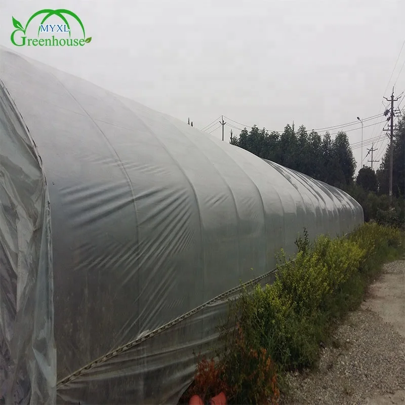 MYXL High Quality Anti-drip Plastic Film Cover Green Houses for Agriculture Production