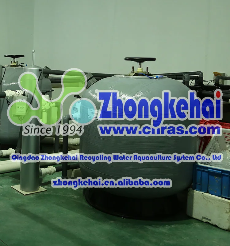 
crab costume, king crab, live mud crab 