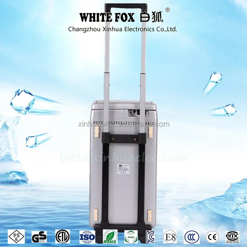 
mini cooler fridge 12V XHC- 22 liter /refrigerator price without compressor capacity 22L small car fridge 