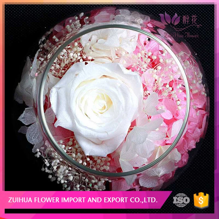 Хорошее качество свежее разрезанное цветное консервированное вечное растение розы