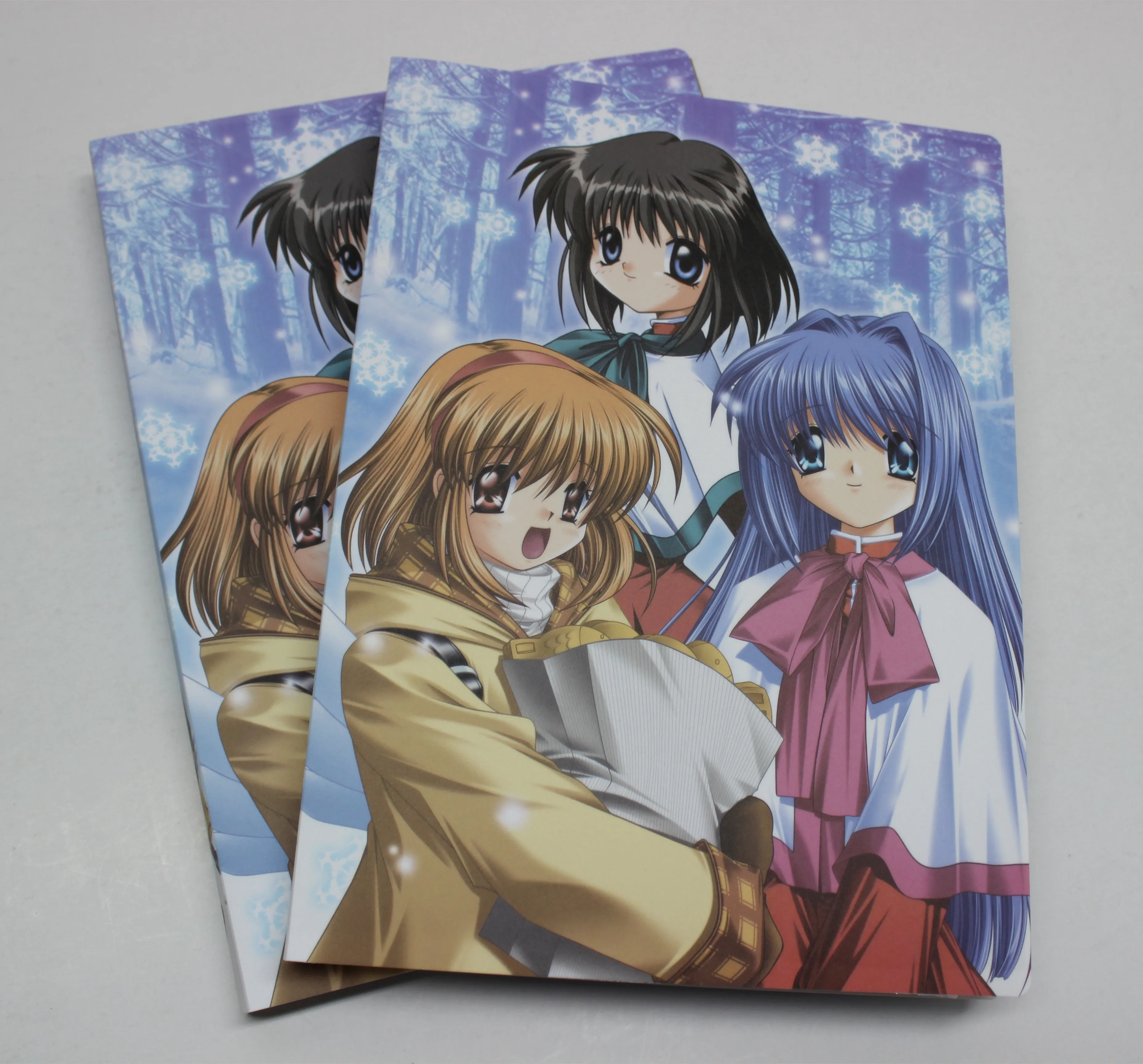 Custom designs A4 display book (Manufactory)