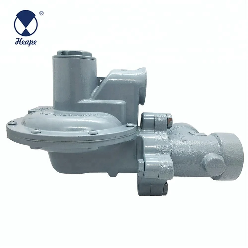 
HEAPE 1 Bar Angle Natural Gas Pressure Regulator 