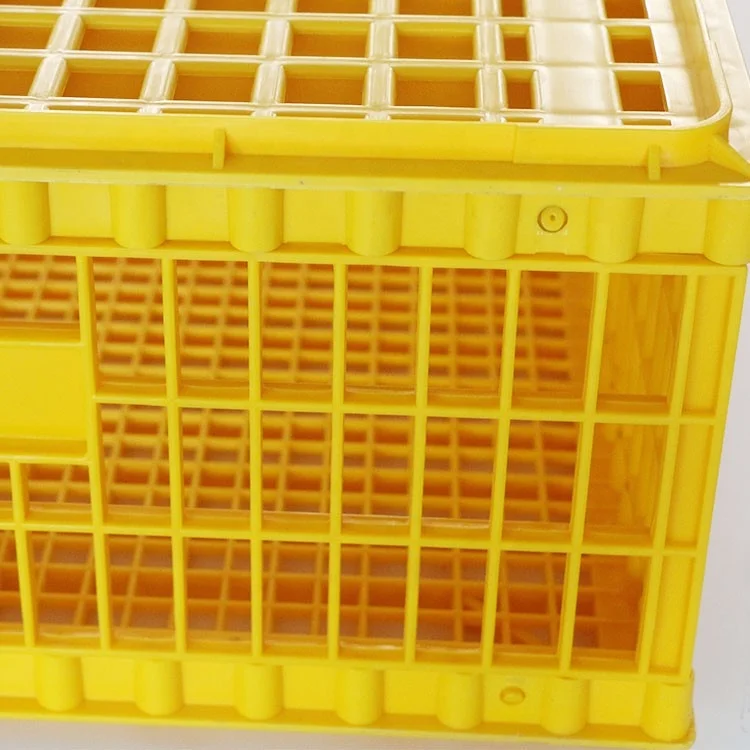 Poultry transportation cage for chickens/ducks/quail crate for sale
