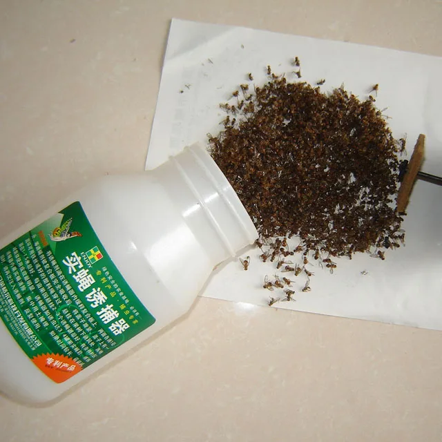 Hot sale Bactrocera cucurbitae pheromone lure melon fly catcher