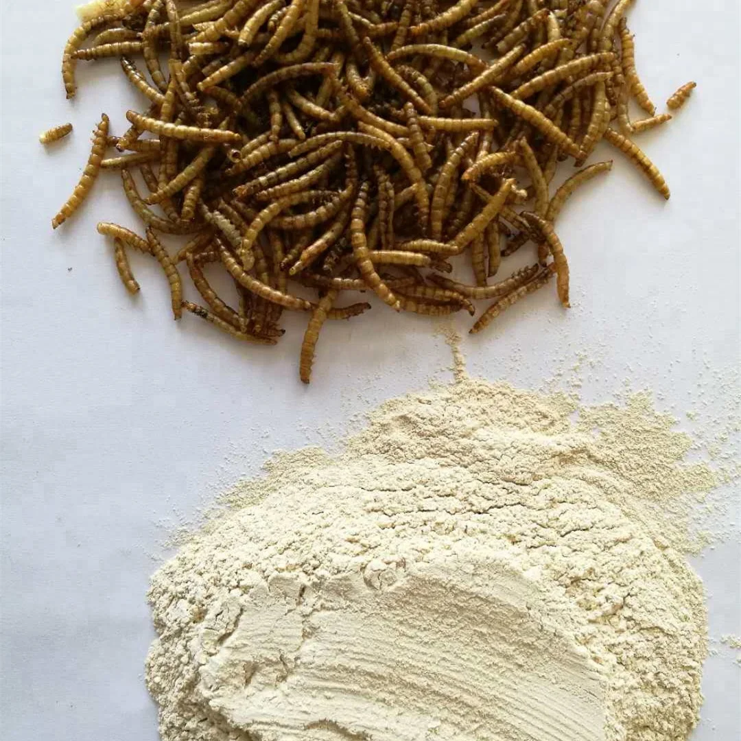 
Tang Fish Food Fish Feed Additive Defatted Mealworm Protein Powder 