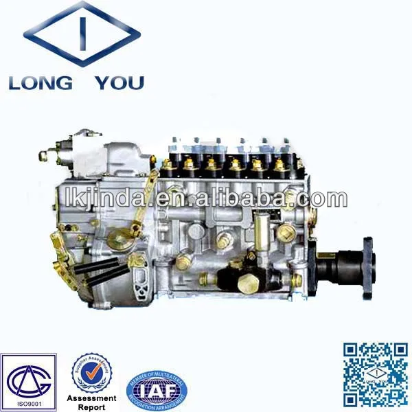 6P191 for Weichai WD615 Fuel Injector Pump