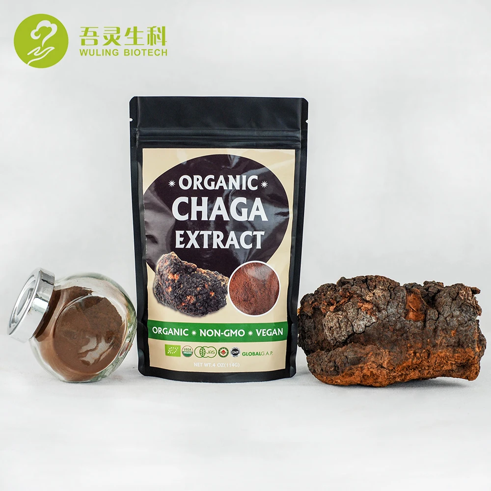 Herbal Supplement Bio Herbs Chaga Powder Wild Organic Chaga Mushroom