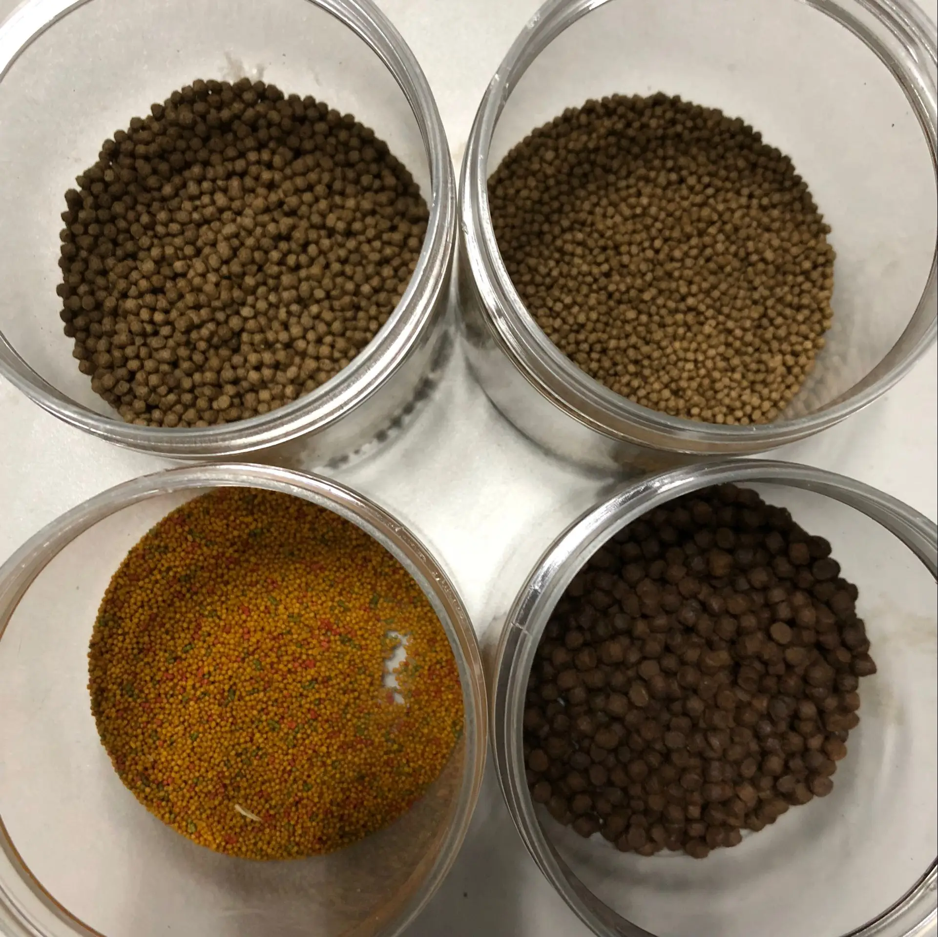 4000-5000kg/h automatic factory price  fish feed machine  in bangladesh