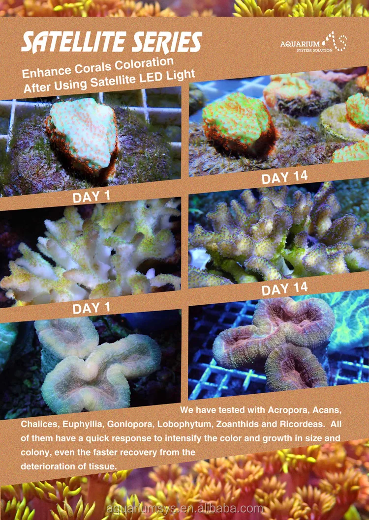 AS Satellite Series светодиодный морской аквариум, светодиодное освещение, рифовый коралл, светодиодный контроллер
