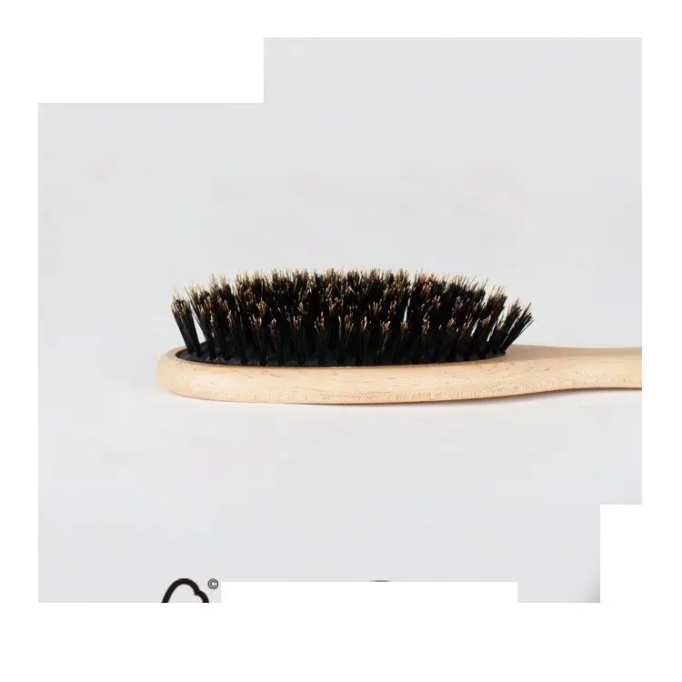 Hot selling fashion pig hair shoe brush