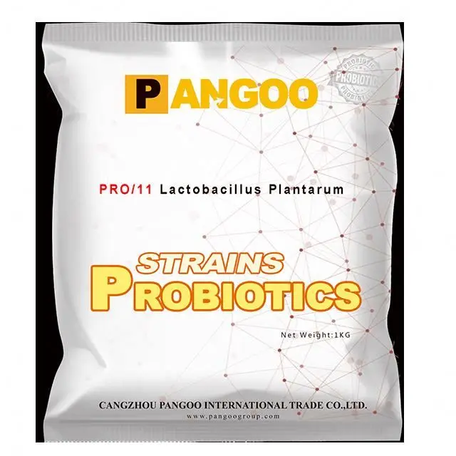 Cheap original bacteria Lactobacillus Plantarum factory