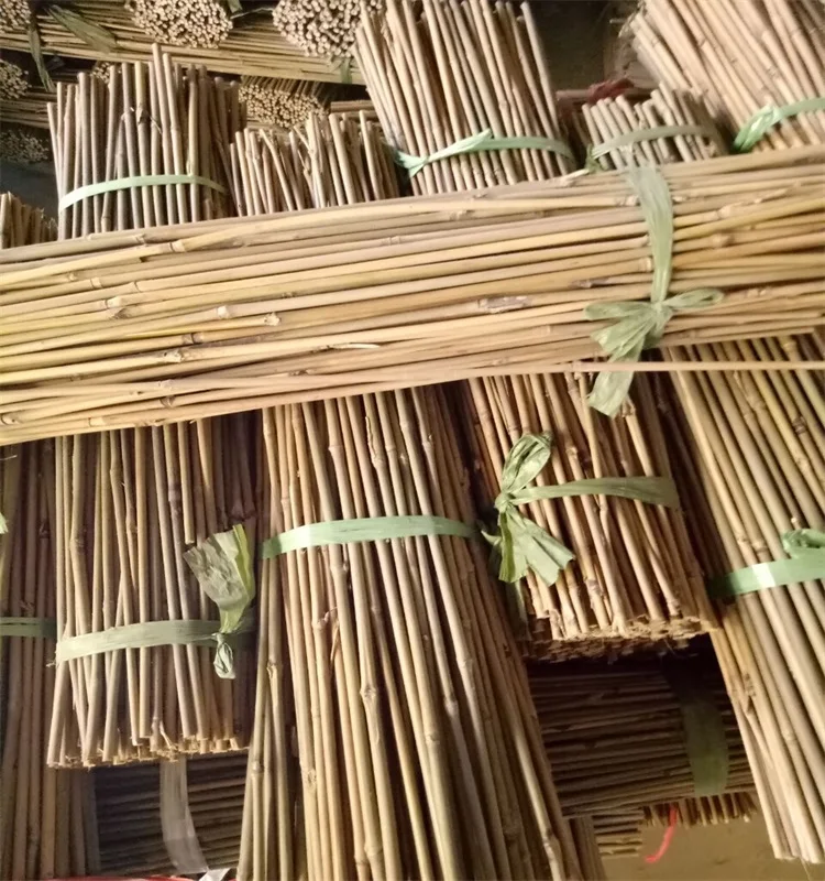 WY T-001 for home adornment natural eco-friendly bamboo reed poles