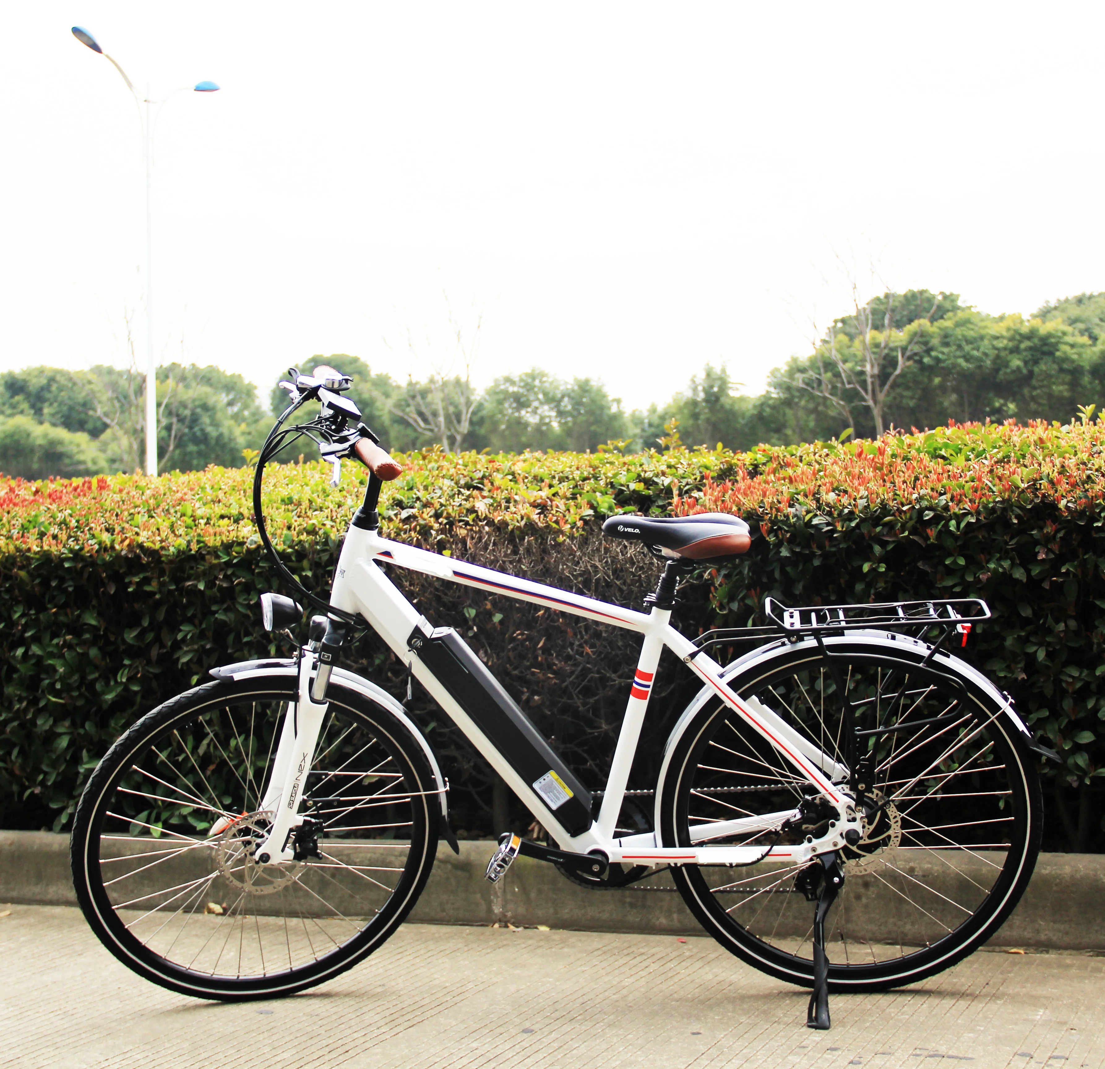 Bisek Cheap Price Pedal Assisted Electric walking Bike for coummuting