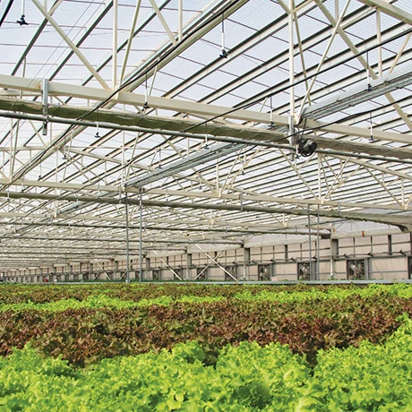 Smart glass greenhouse and agricultural vegetable greenhouse