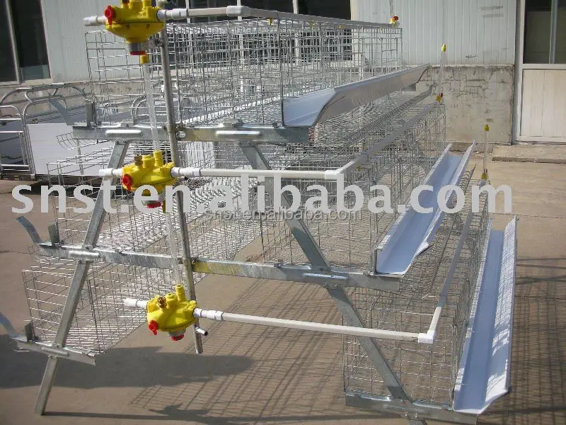 Good price second hand poultry show cages with CE certificate