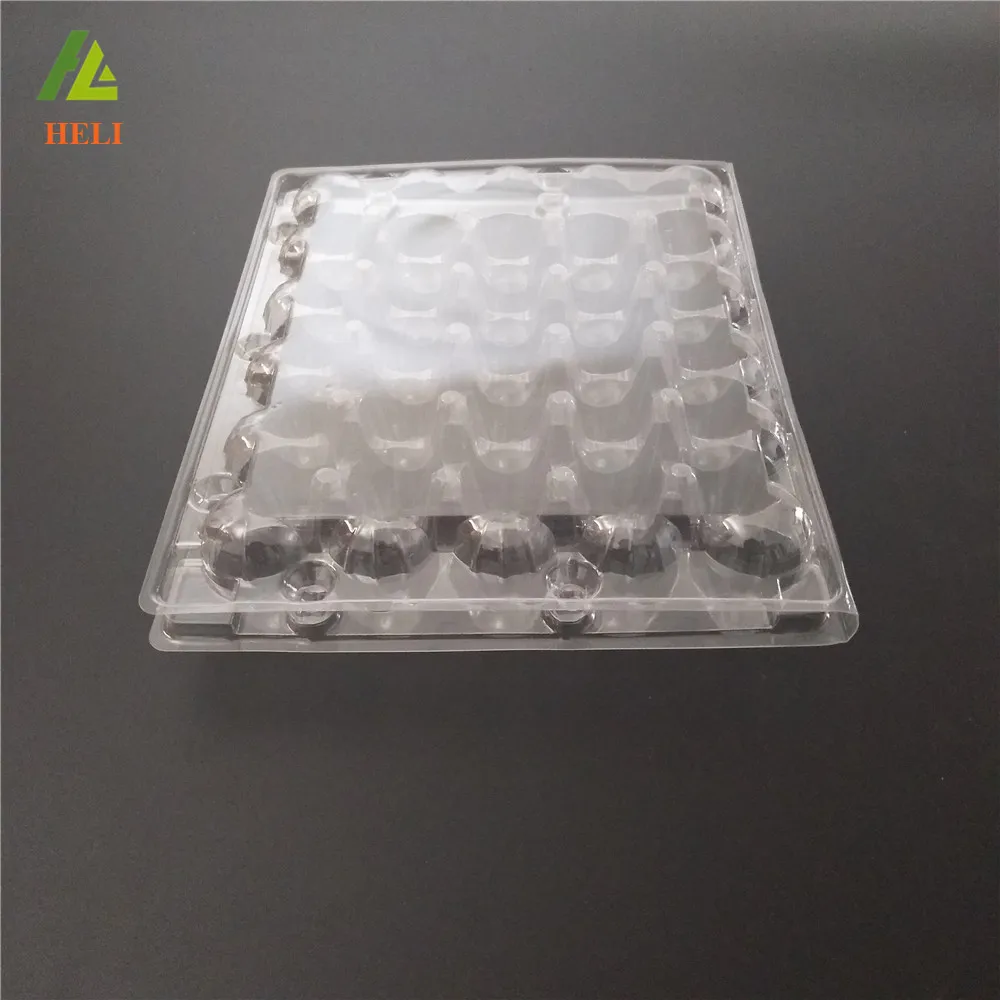 Disposable Plastic Quail Egg Trays Packaging Box for Sale