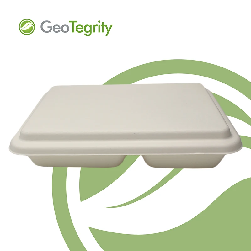 Лоток для завтрака с четырьмя отделениями, биоразлагаемый, экологически чистый лоток для сахарного тростника, школьный лоток