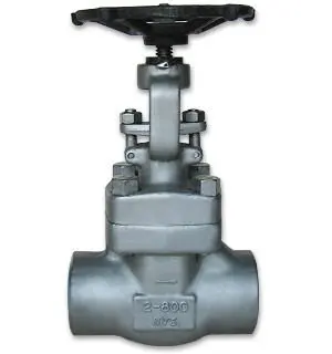 Butt Weld /Socket weld A105N Gate Valves