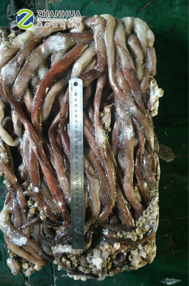 Frozen Tentacles Of Squid Frozen Squid Tentacles For Sale Fresh Frozen Squid Tentacles For Sale