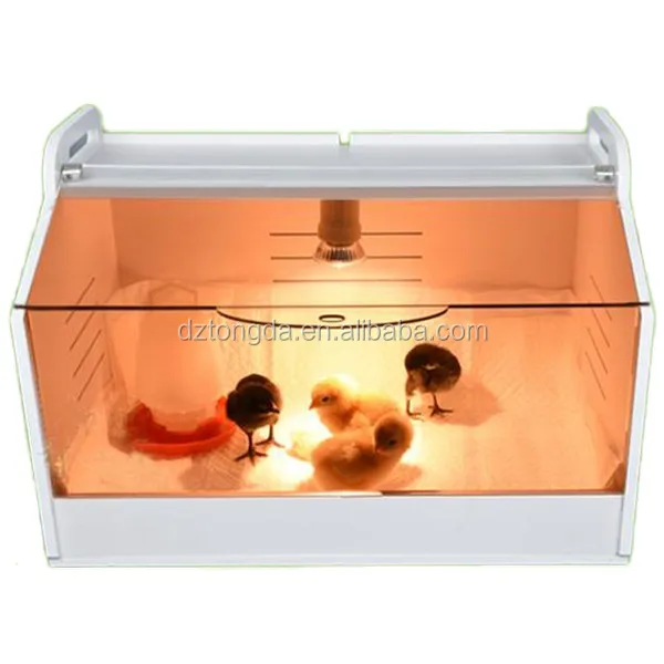 New design cheap bird brooder with great price table brooder box for chicks
