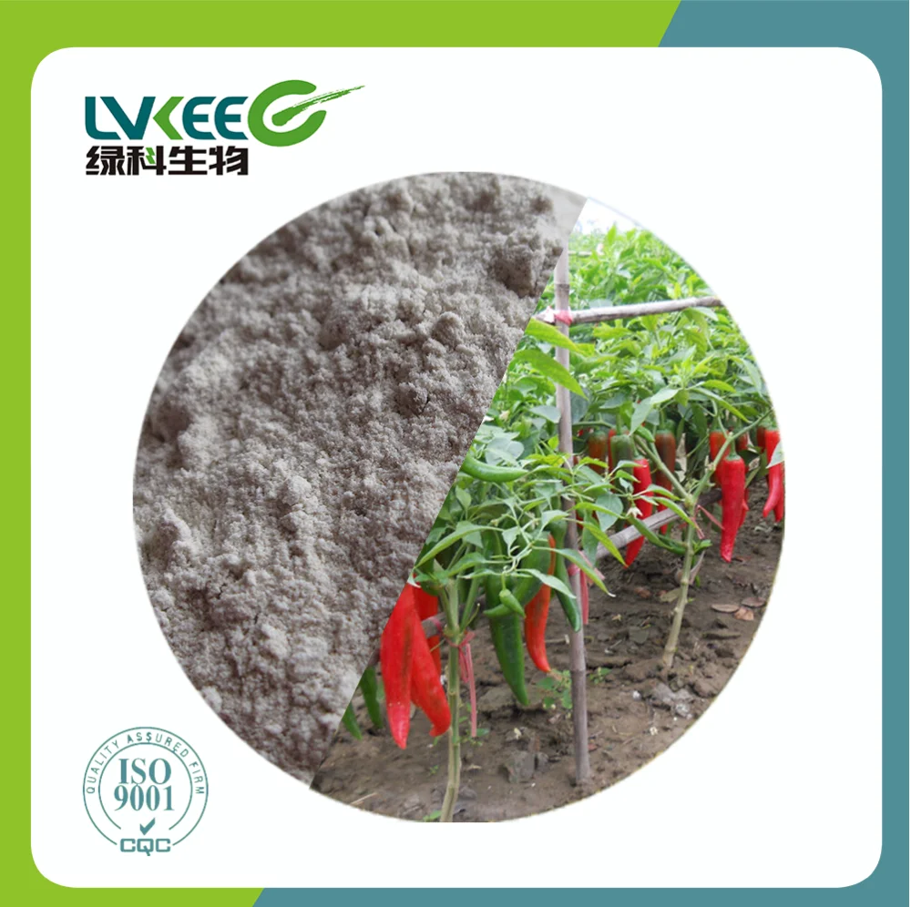 Organic Probiotics Bacillus Megaterium for Agriculture Soil Fermentation