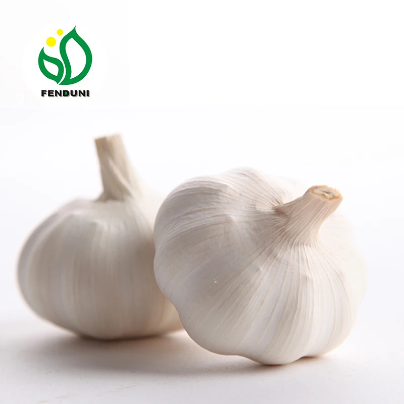 
2019 Garlic Price garlic box 10kg for Morocco 