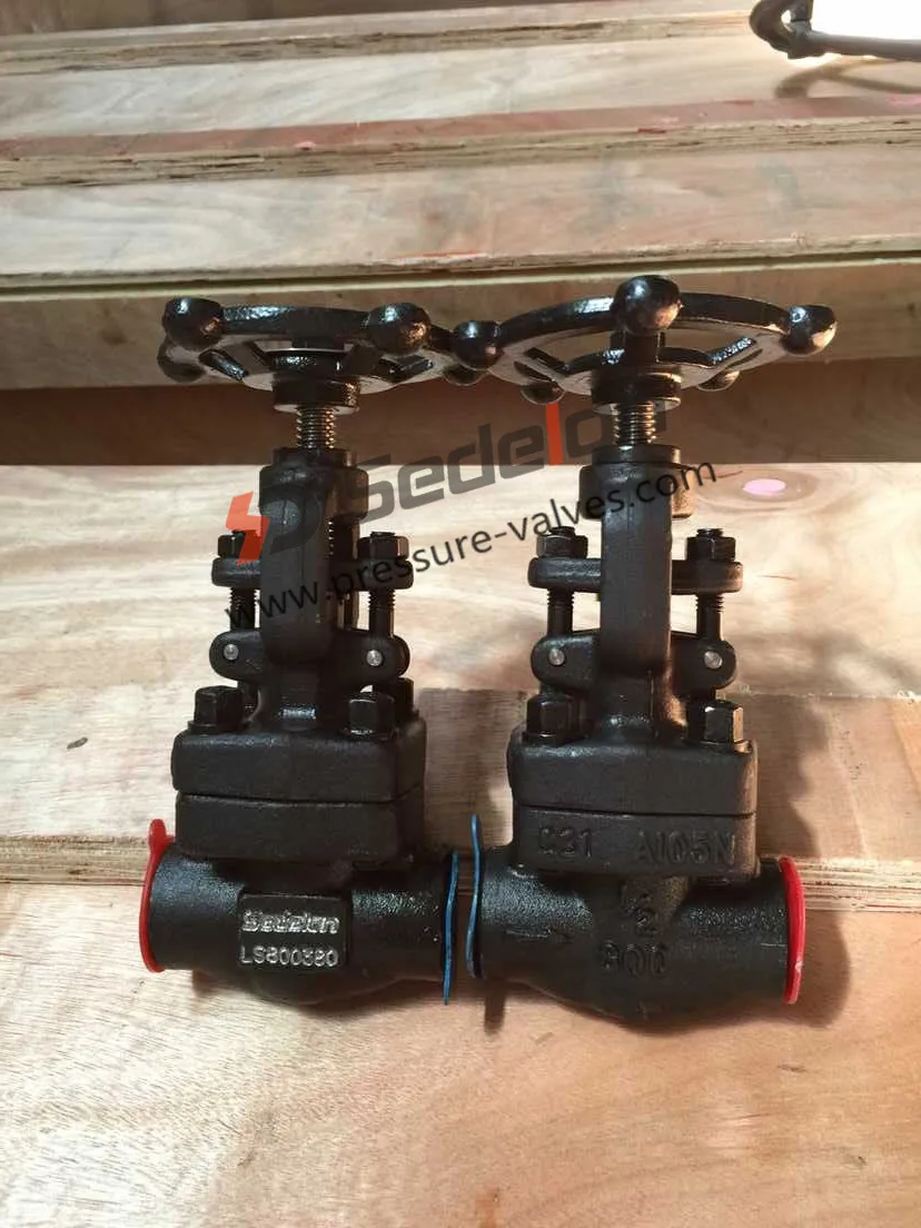 Butt Weld /Socket weld A105N Gate Valves