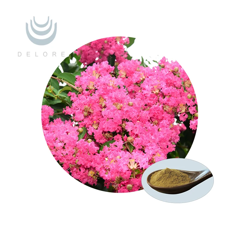 100% Natural Corosolic Acid Lagerstroemia Speciosa Banaba Leaf Extract