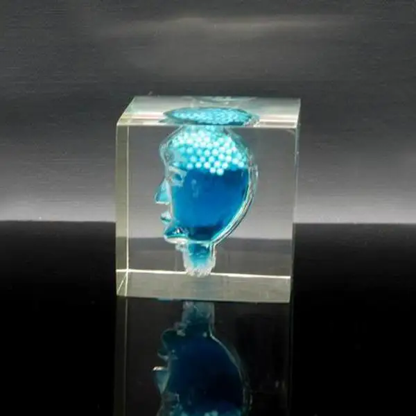 
Acrylic Stomach Paperweight Liquid Filled Paperweight Factory 
