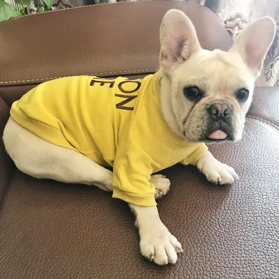 Fashion high quality plain oversize dog clothes matching owner hoodie with prints