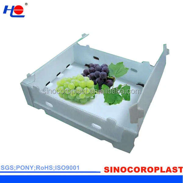 Fruit Packing Corrugated PP Plastic Flute Box