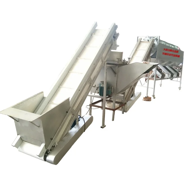 High-selling garlic processing plant