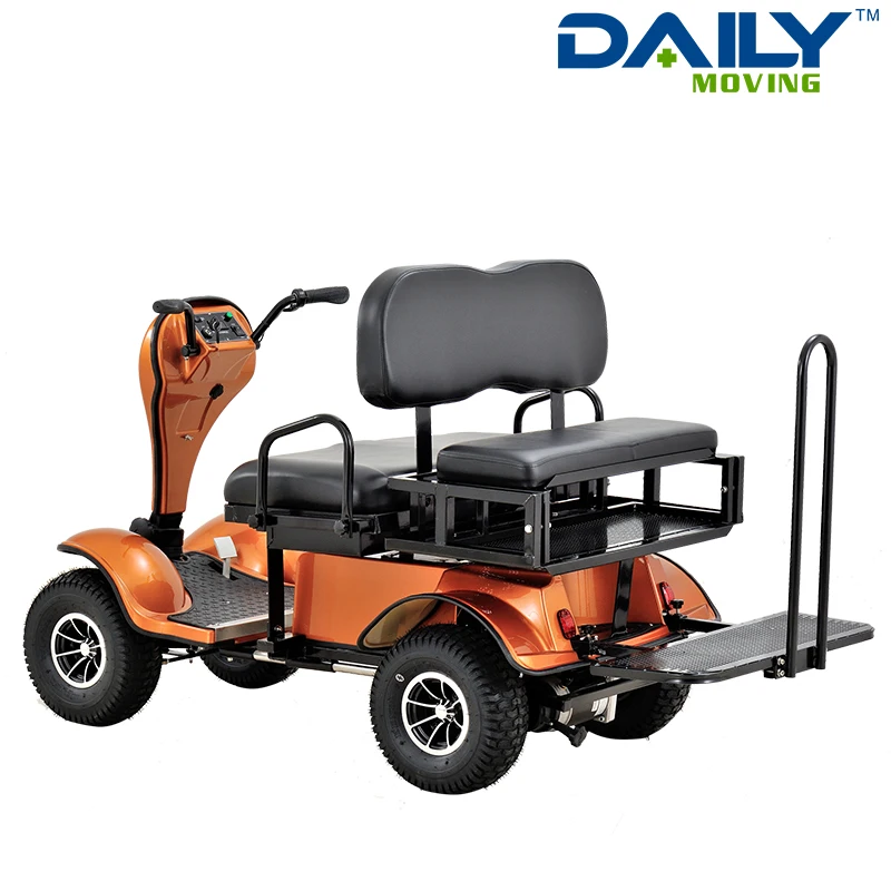 
2 Seats Disabled Scooter Handicapped Scooter Electric Mobility Scooter 