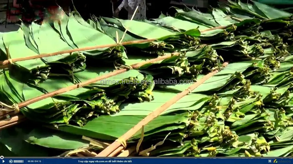 Dry Bamboo leaves for cake from Vietnam, dry bamboo leaf good price, bamboo leaf best quality contact wechat +84963818434