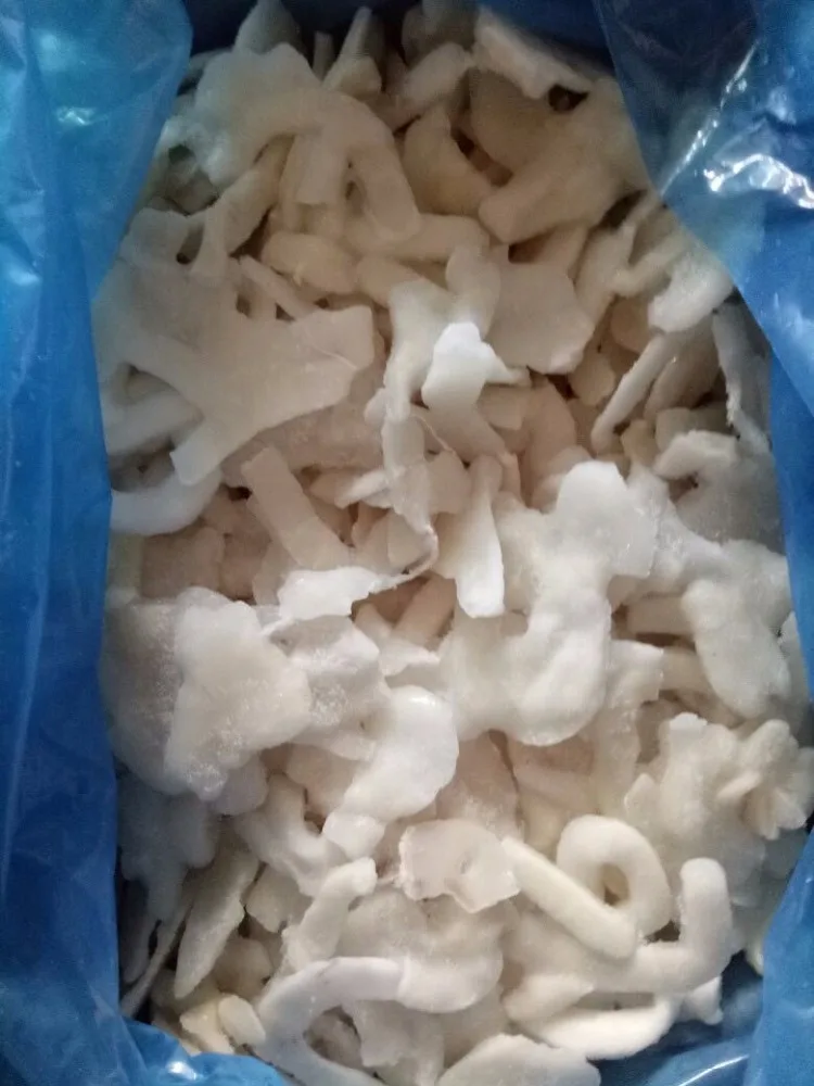 frozen pacific todarodes rings