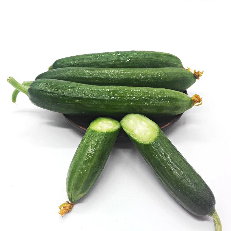 
Cucumber Vegetable Seeds Organic Vitamin Herbs Cucumber for Salad 
