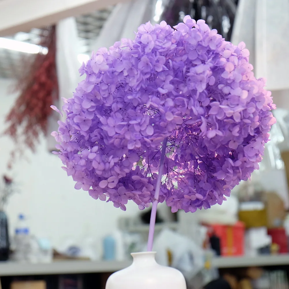 Natural Preserved flowers hydrangea for event centerpieces