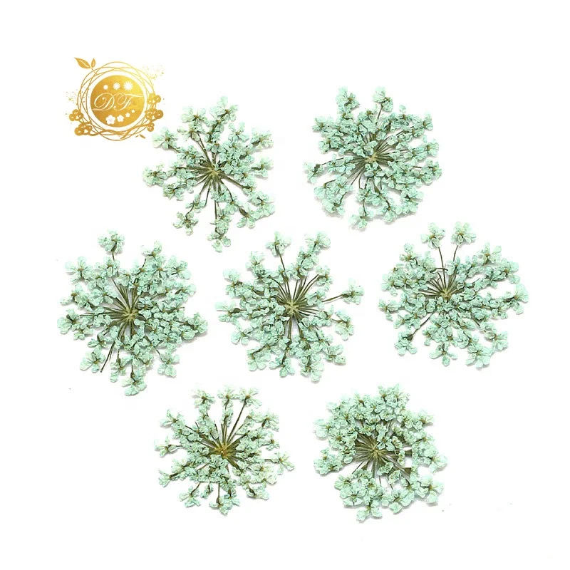 2022 Hot sale dried preserved babysbreath Detain flower for  home decoration