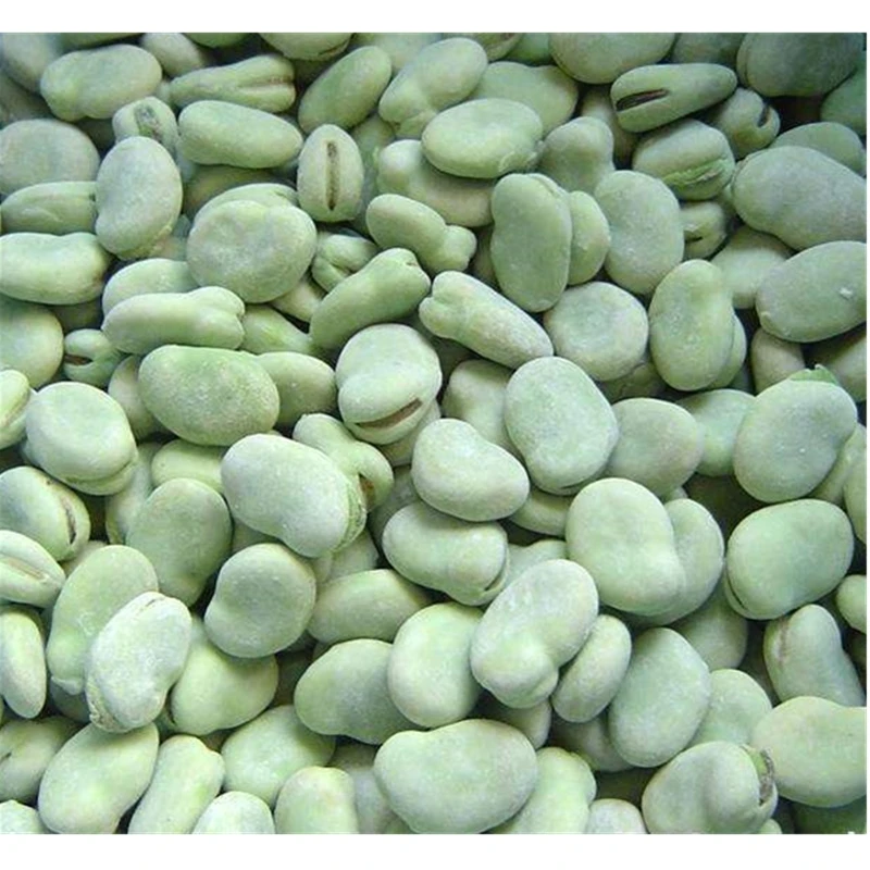 
Wholesale grade best organic frozen peeled broad bean 