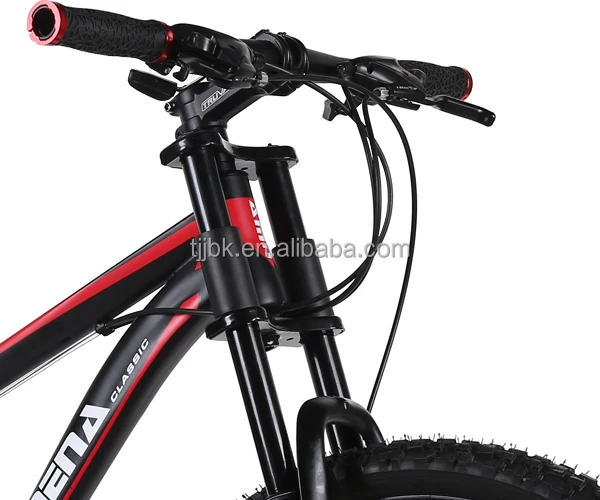 
2019 newest downhill DH bike customized Aluminum Alloy 24 speed 26 inch mountain bike 
